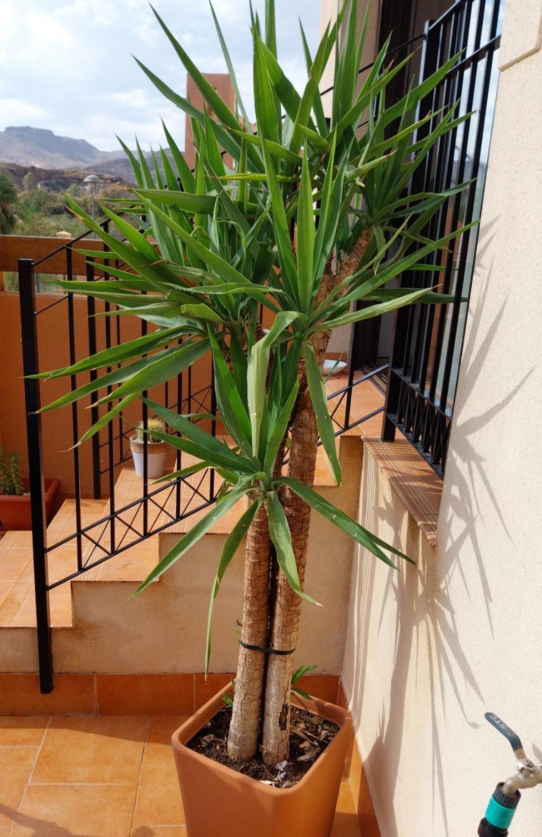 S&H La Malcriada San Juan de los Terreros Zewnętrze zdjęcie